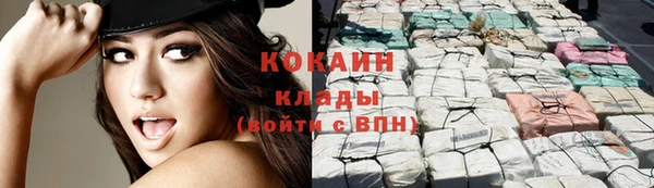 ПСИЛОЦИБИНОВЫЕ ГРИБЫ Армянск