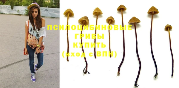 ПСИЛОЦИБИНОВЫЕ ГРИБЫ Армянск