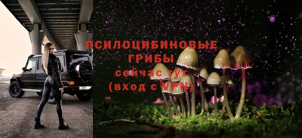 каннабис Арсеньев