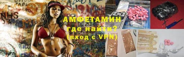 ГАЛЛЮЦИНОГЕННЫЕ ГРИБЫ Аркадак