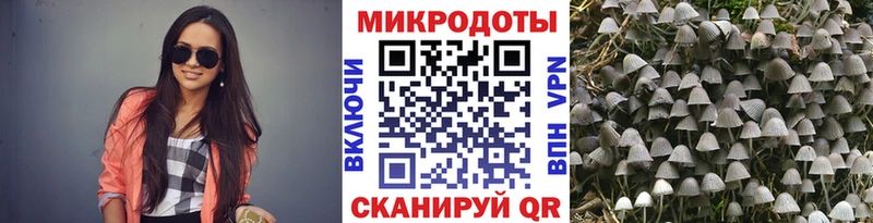 Галлюциногенные грибы Cubensis  ОМГ ОМГ ссылки  Балтийск 